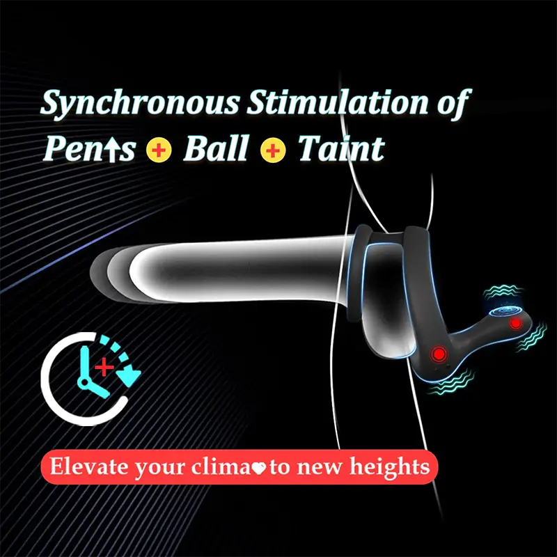 PR6 Penisring met Dubbele Motoren & Afstandsbediening - Trilling voor Penis, Ballen en Perineum